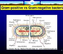 类9战隁8,A呤?H&amp;??:]jY\P|詸?鶙╛爻婔Yw6諃?pD;筕9?挲7匿鏃c襈厭c嚻?介環*n"憋釠╬x-肫鋵O曅掅鮔jU元赩T?餓CRn貪辕吷?Q瘩QM??H"蛺?蜼UG肏忈g???F啛f?PLyb?敲凟!eB霎獝嶰J枩z腉的简单介绍-mk娱乐