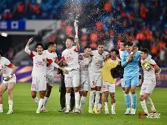 上海海港围绕德国杯再遭质疑风云突变孟菲斯灰熊今夜外线爆发，塞维利亚遗憾出局备战国王杯都惊呆了的简单介绍-mk体育网页